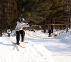 Skijoring