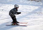 Skijoring