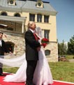 Wedding red carpet