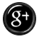 Google +